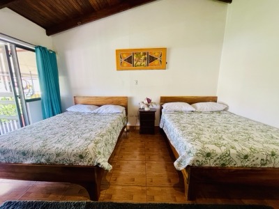 Interiors view