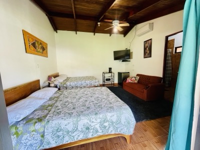 Interiors view