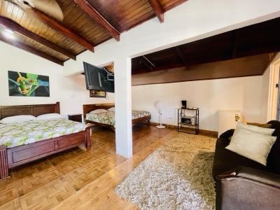 Interiors view