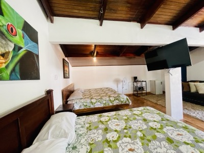 Interiors view